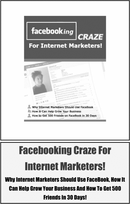 Product picture Facebooking Craze For Internet Marketers! Make Money Online
